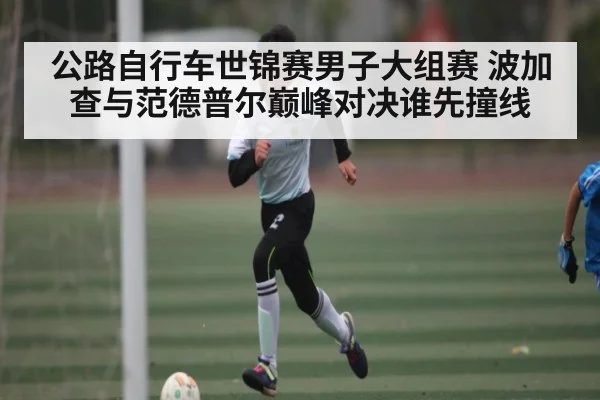 公路自行车世锦赛男子大组赛 波加查与范德普尔巅峰对决谁先撞线 - NG28